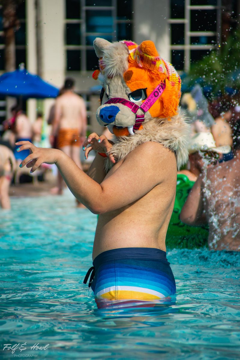 This kitty loves the water 💦