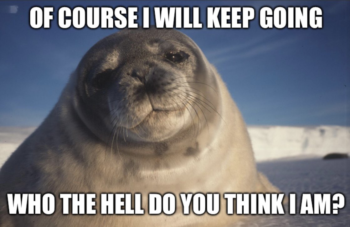 alyssa 🦭 tweet media