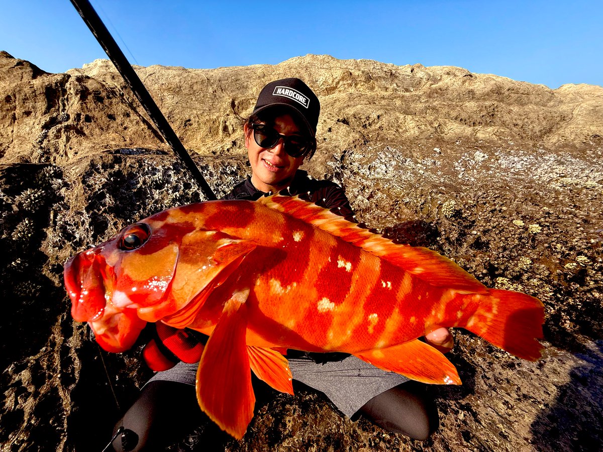 千葉県ロックフィッシュゲーム
🔥最高👊😁🔥
仲間との釣りは自分を磨ける要素満載♫

#SHIMANO #ハードロッカーSS 
#カルカッタコンクエストDC
#NORIESOCEAN #ECOGEAR #バグアンツ　#キジハタホッグ　
#デコイ #ロックンフック
#サーフベース39N #継美隊　
#DUEL #HARDCORE