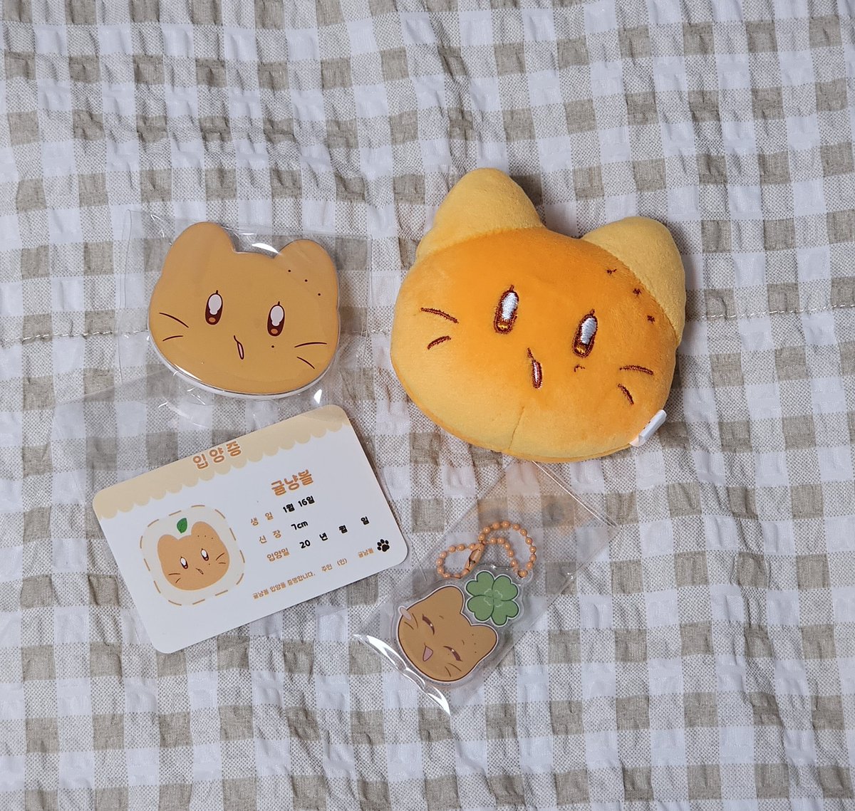 선우제갈남궁뿌리🍊 tweet media
