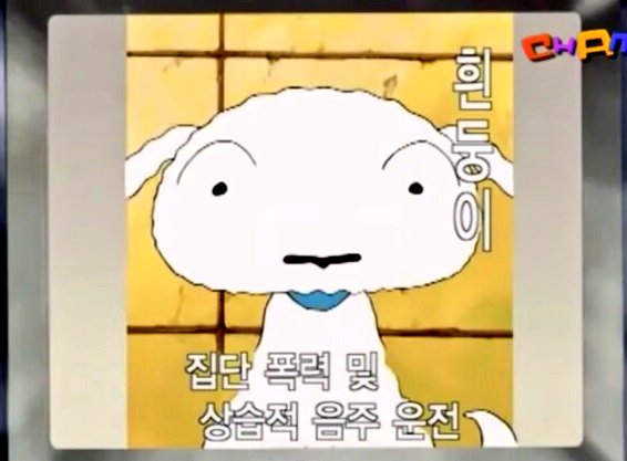 휴지양 (@qhgp1308) on Twitter photo 