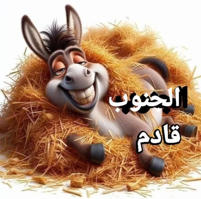 طلال القحطاني🇾🇪 tweet media