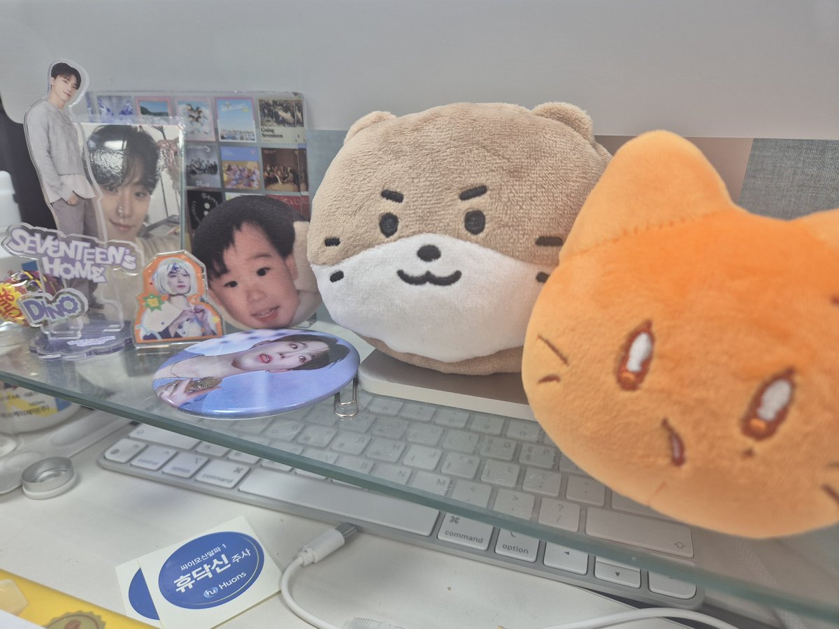 앙(유령계 이슈로 계정 이동 중) tweet media