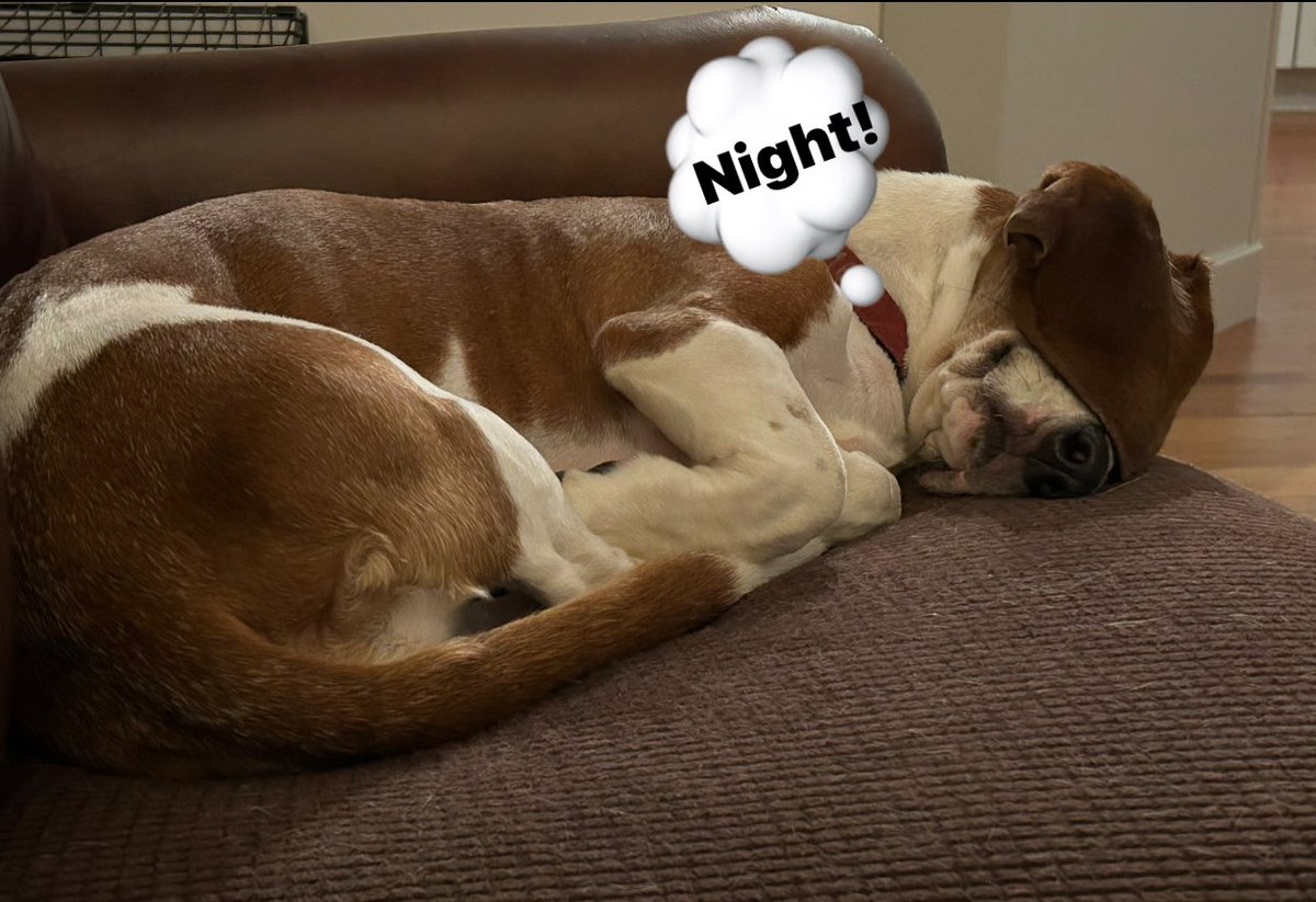 💤 💤 💤