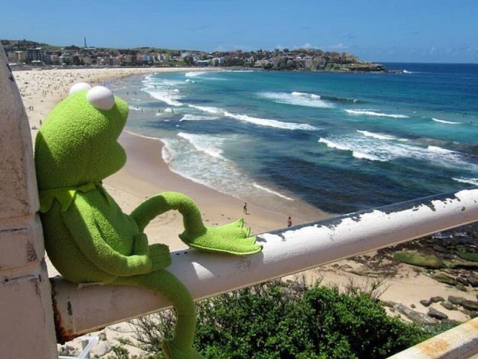 Scorpios after cutting off everybody