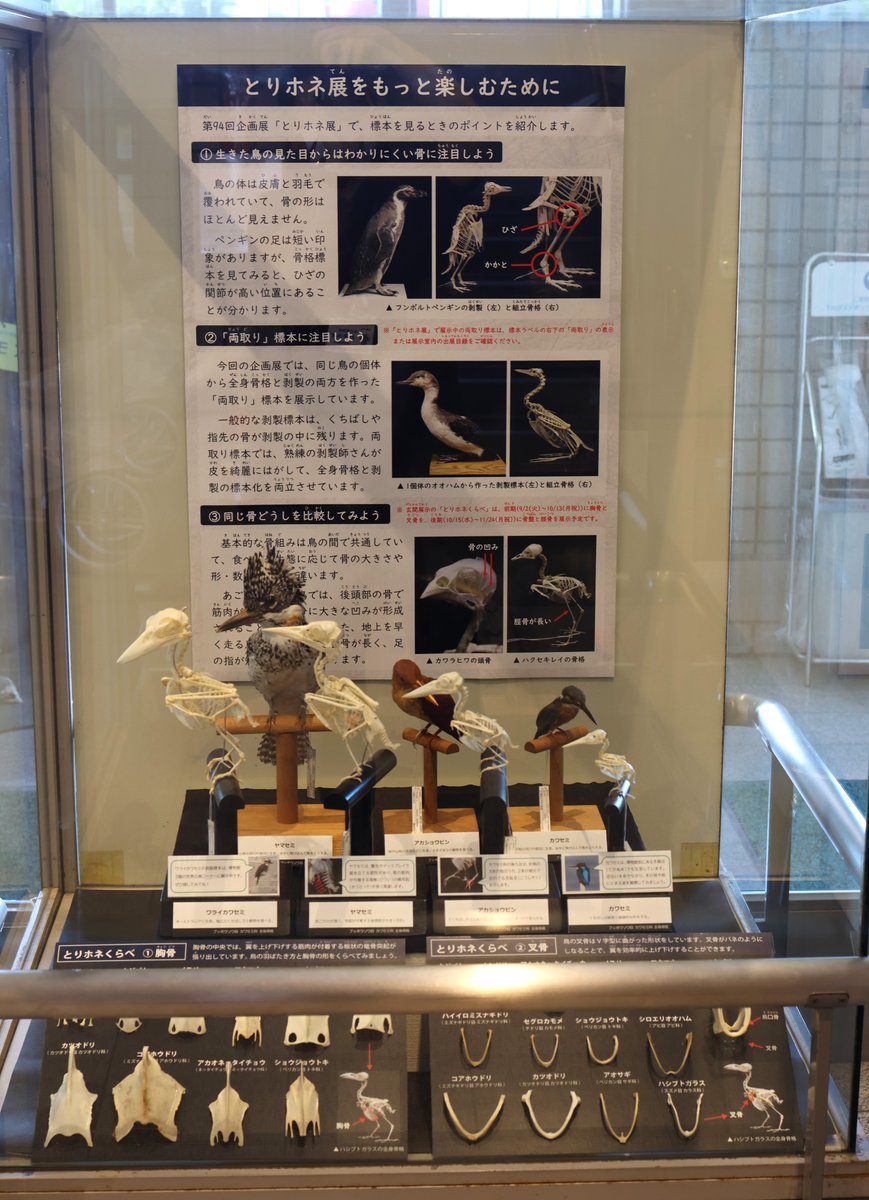 文一総合出版【公式】 (@BunichiSS) / X