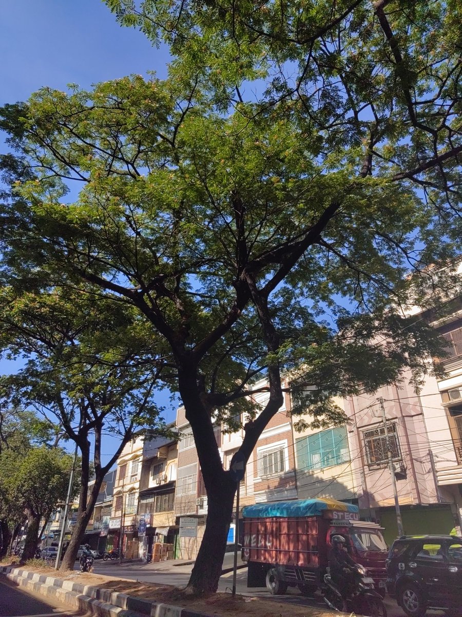 Pagi ini terbangun dengan kehilangan rasa percaya