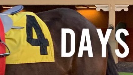 They’re back, this Friday night.

🏇 9 Races
🕕 6:05 Post Time 
🎟️ lonestarpark.com