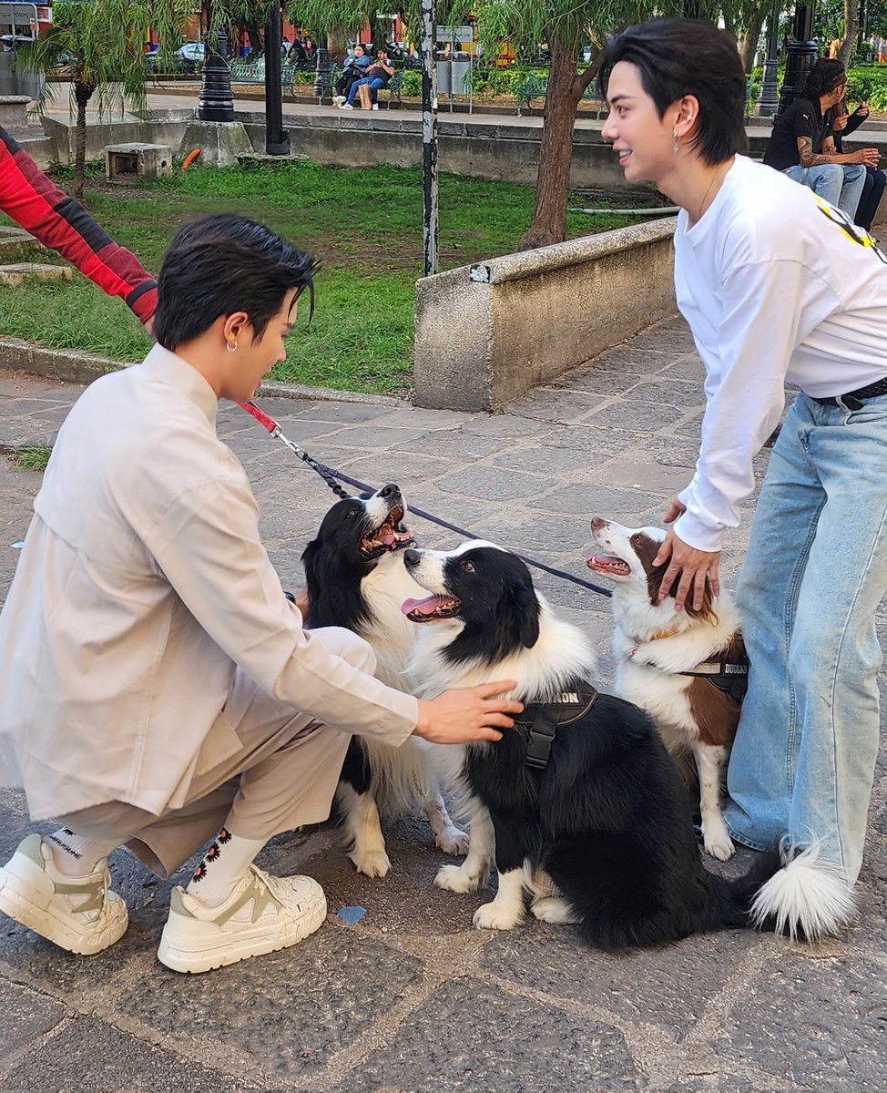 🐶