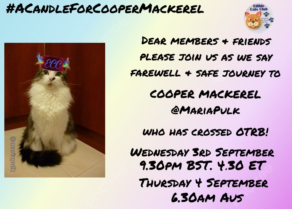Pleez come and join us for ma farewell on ma journey OTRB to be wiv ma sisfur Willow. Use #ACandleForCooperMackerel to join in. Pleez retweet. #mogyog #Weetigang #wlf #ECC #ZSHQ #nipclub #NPC #theaviators #pawcircle #pawgaritaville