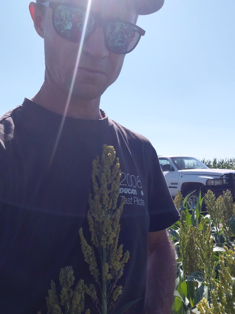 Jim Diamond tweet media