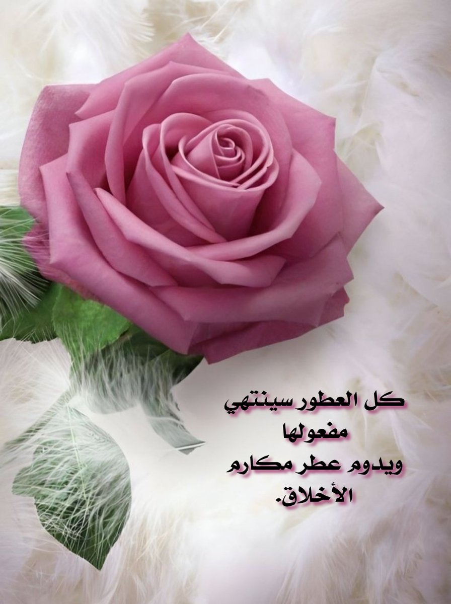 #صباحات_مختاره 
العطر ليس ماء الورد.
العطر هو قلب ينبض بالطيب.
وروح يفوح منها العبير.
عبير الحب والوفاء.
عبير المودة والاحترام.
عبير التسامح والصفاء.
العطر هو جوهر الإنسان الجميل.💌
#طاب_صباحكم_وسائر_أوقاتكم
#أميرھ_بِـ_أخلاقي