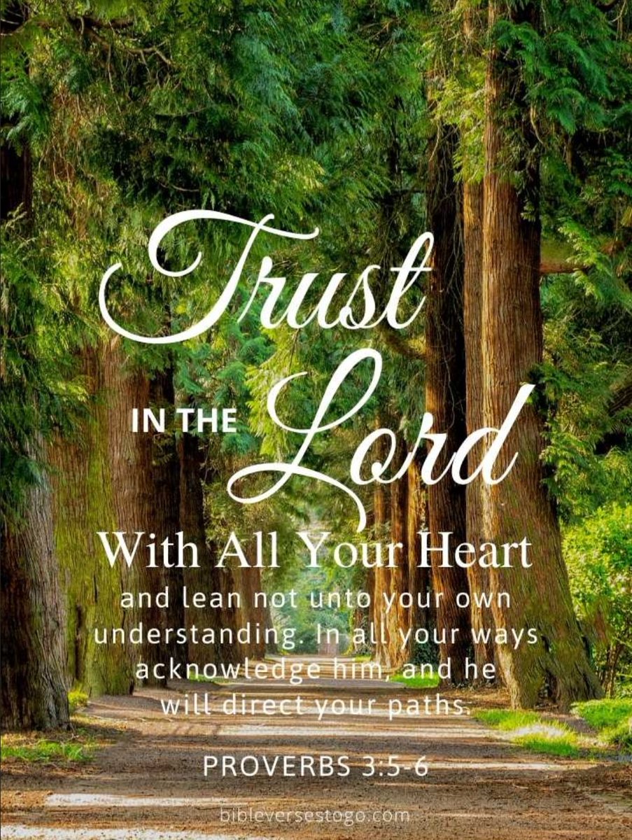 MMcLaughlinsong's tweet image. Trust in the Lord with all your heart.