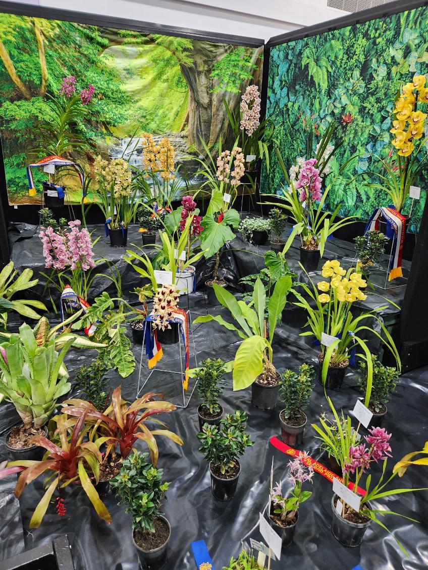 heltweet's tweet image. Good afternoon
#DailyWordleClub
#TalkingTuesday
Another very Spring day
#Wind
#Cloud
#Sun
#Blue Sky
#Wordle1536 5/6
🟦⬜⬜🟦⬜🕊
⬜🟧🟧🟧🟧🌻
⬜🟧🟧🟧🟧🐣
⬜🟧🟧🟧🟧🤞
🟧🟧🟧🟧🟧💃
Ho hum 5
Multiple choice
Again!
Daughter's photo
#Bromeliads at the annual Royal Show exhibition