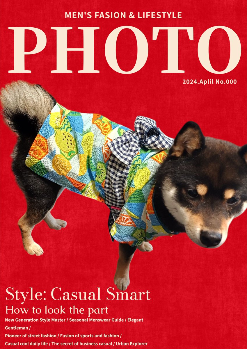 可愛い可愛いと思ってたけど、やっぱり可愛いです

#黒柴
#柴犬大好き