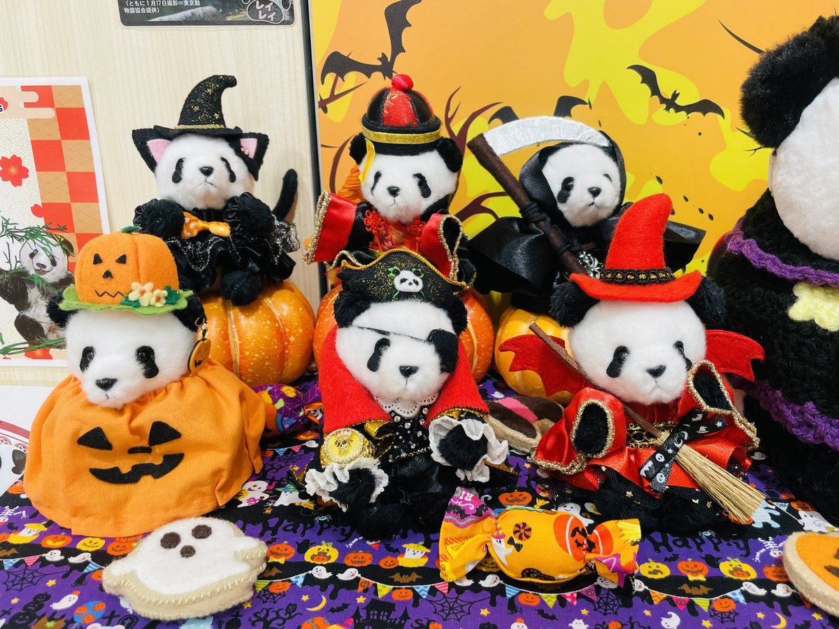 2017年ハロウィンパーティー ぬいば4点セット 91G-OtEHO0L._AC_UF894,