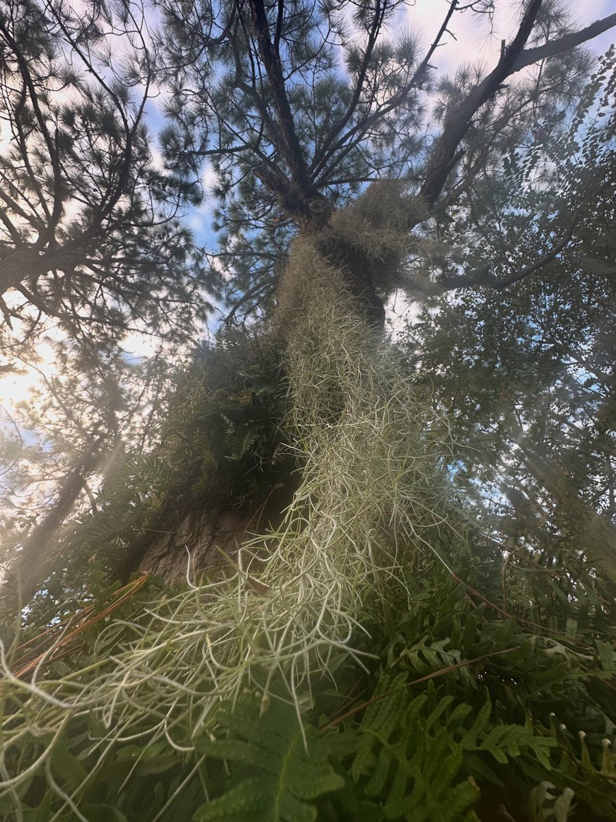 Maria Fadiman tweet media