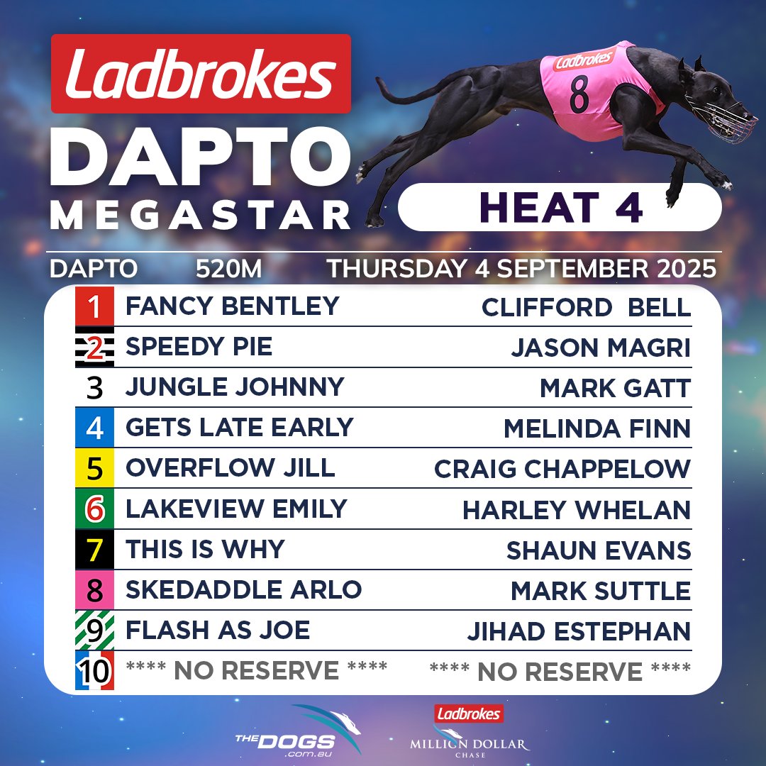 The Dogs tweet media