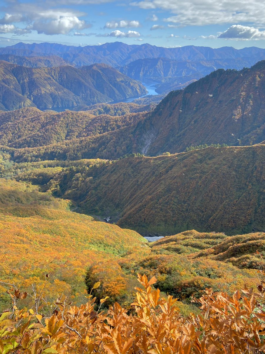 renosky99's tweet image. アルプスとか八ヶ岳も好きだけど、ワイはやっぱり東北とか上越国境あたりの人の少ないマイナールートをひっそりと歩きたい