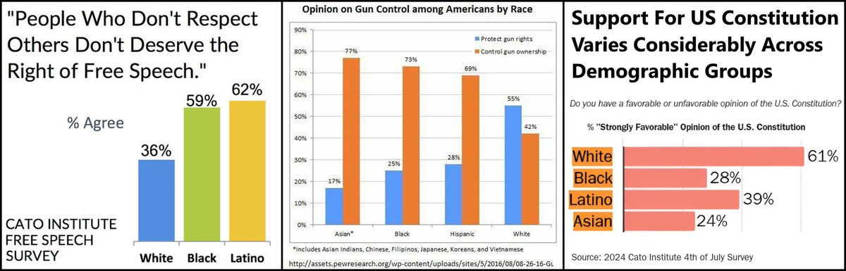 TooWhiteToTweet's tweet image. The First Amendment, the Second Amendment, the Constitution as a whole, and the United States of America itself all cease to exist in the absence of White people.