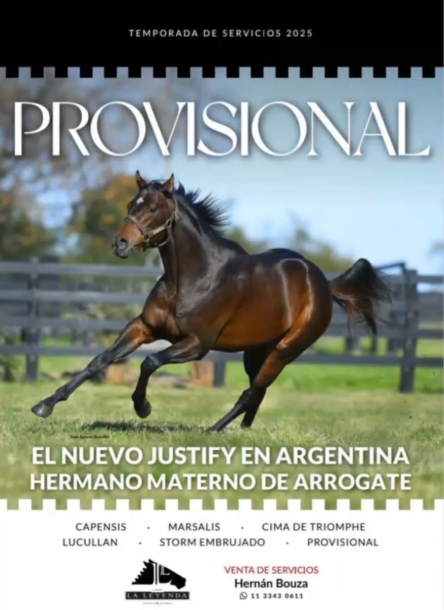 acastroturf's tweet photo. PROVISIONAL: UNA JOYA GENÉTICA
Este padrillo que posee un pedigree de nivel mundial, con total vigencia, resulta una opción más que interesante para los criadores y propietarios uruguayos con reproductoras radicadas en Argentina.

Por informes en Uruguay
099 123 206
099 803 724 https://t.co/Qz98t95s04