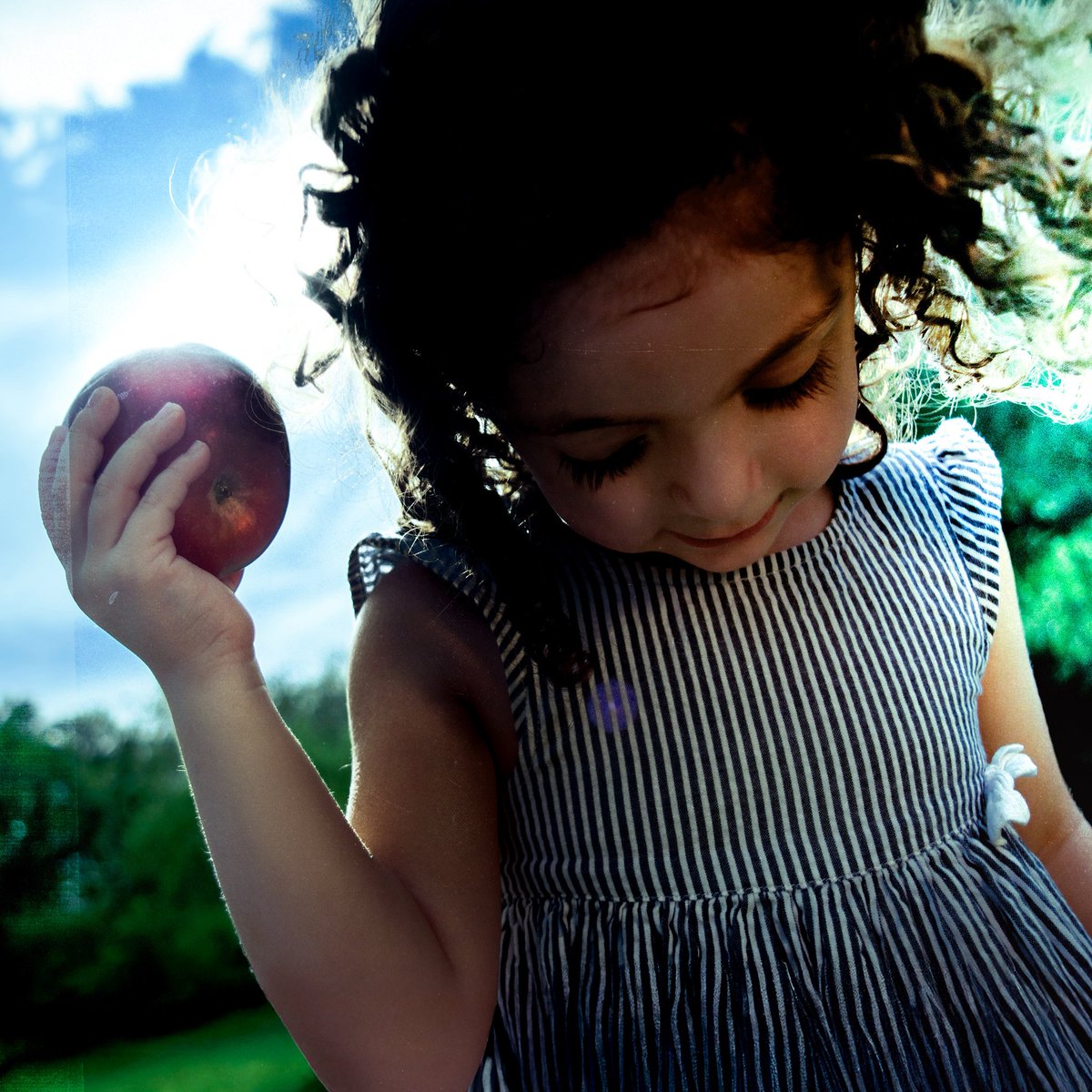 willbenshi tweet media