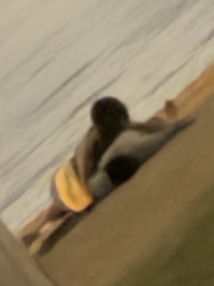 啜毒？

去片
fansone.co/Hknakeboyy