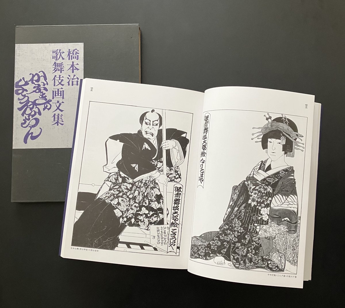 昨日古書ネットで手に入れた、橋本治さんの画集「橋本治歌舞伎画文集 