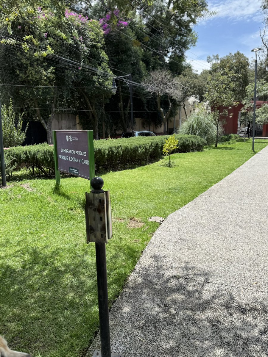 rymcuevas's tweet photo. @TlalpanVecinos @TlalpanAl @DanyAlvarezca @Gabyosoriohdz Parque Leona Vicario en deterioro, bancas rotas, botes de basura sin reparación y repletos de desperdicios. Lo que en el pasado fue espacio muy agradable hoy está en completa decadencia. https://t.co/TMn4Z5xN5O
