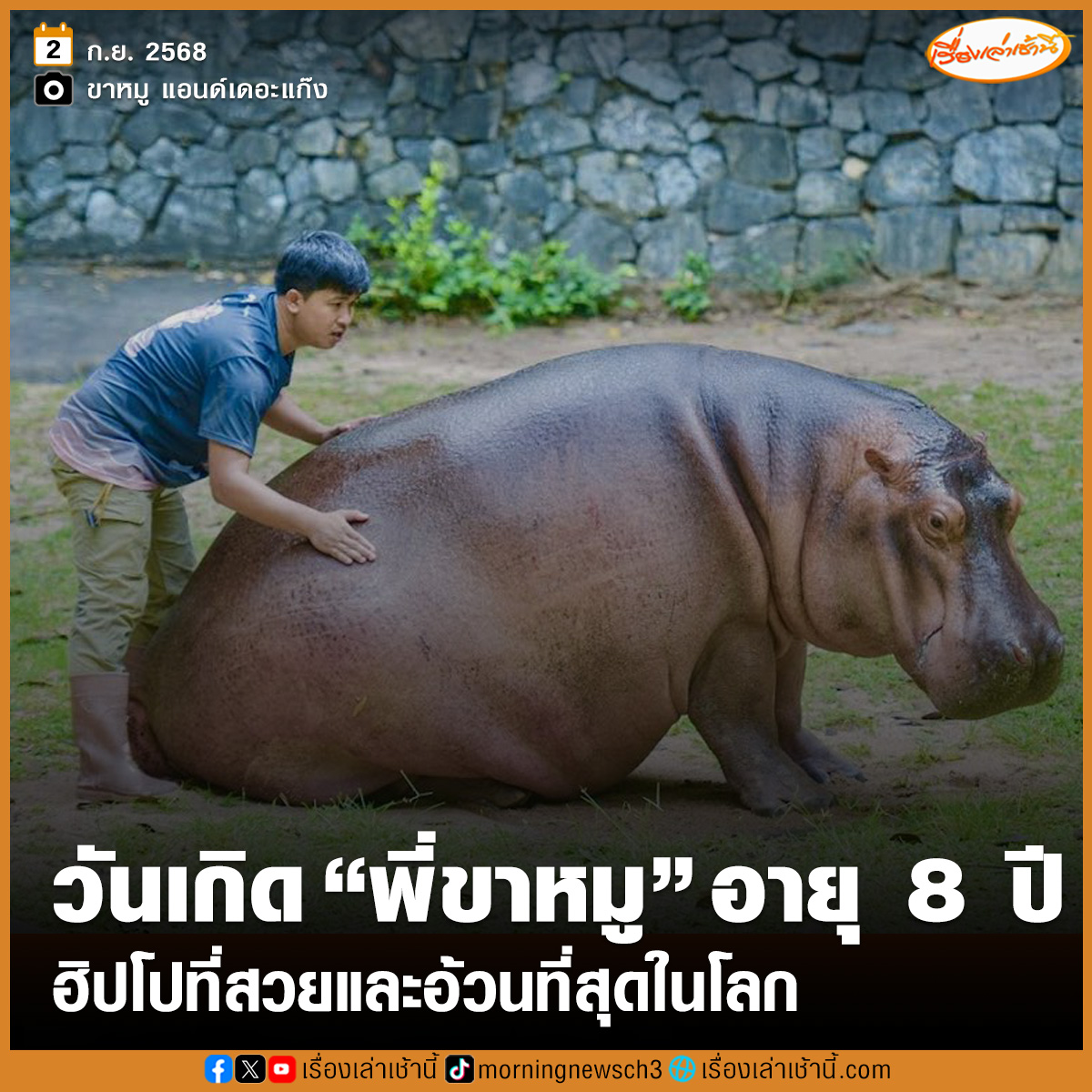 นับว่าเป็นอีกหนึ่งเซเลบแห่งสวนสัตว์เปิดเขาเขียว สำหรับ "ขาหมู" ฮิปโปโปเตมัส เพศเมีย เจ้าของตัวจริงเพจขาหมู แอนด์เดอะแก๊ง ซึ่งเป็นฮิปโปตัวแรกที่พี่เลี้ยงเบนซ์ เลี้ยงดูแลและนำมาตั้งชื่อเพจ โดยวันนี้ 2 กันยายน 2568 ตรงกับวันเกิดเจ้าขาหมู เพจขาหมู แอนด์เดอะแก๊ง ได้โพสต์ข้อความว่า