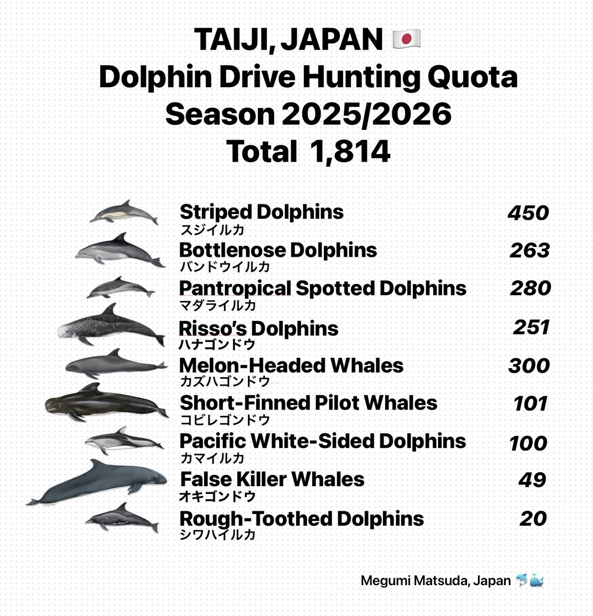 Megumi Matsuda tweet media