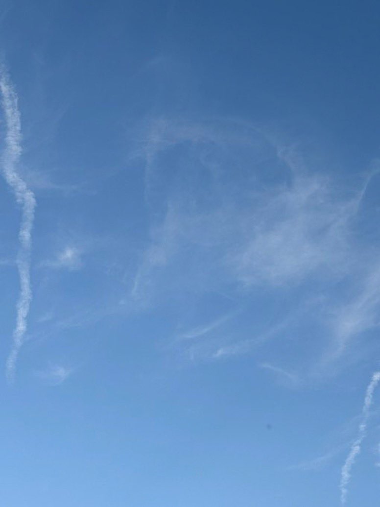 Pete Chad Saylor tweet media