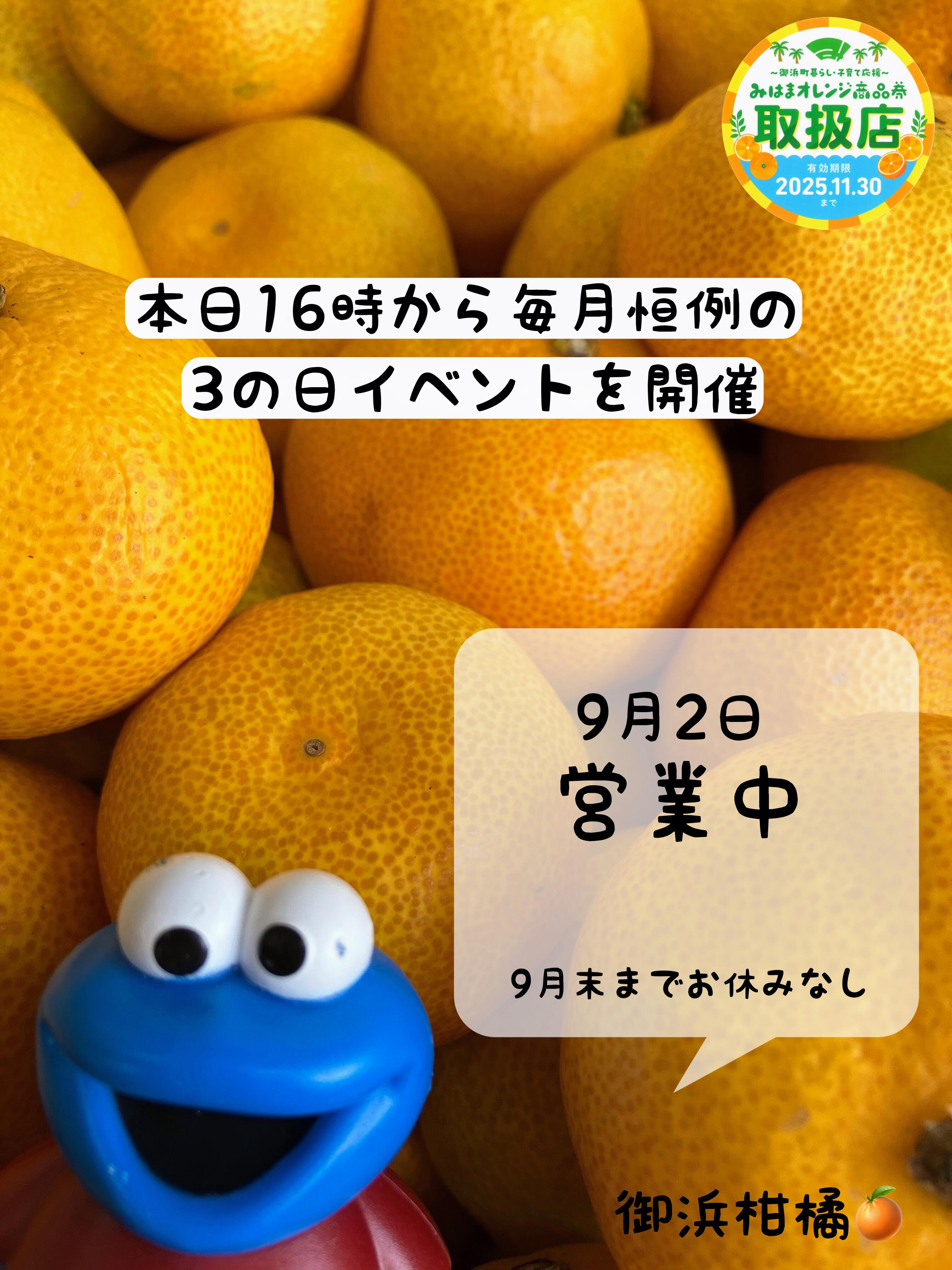 みかん 愛媛県八幡浜市産 皮つき冷凍みかん 1kg 3S～Mサイズ 10～25個