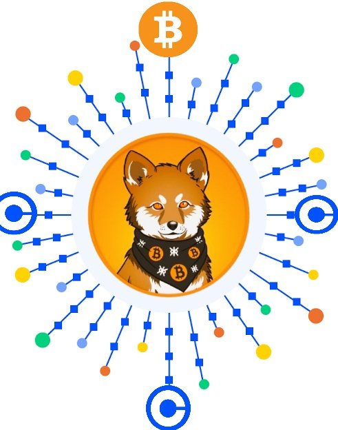 @Coinbase list $LOBO , press RT 🔄 and watch the magic happen , help this post break the likes record 🧡 $LOBO is destined to be the next $Shib