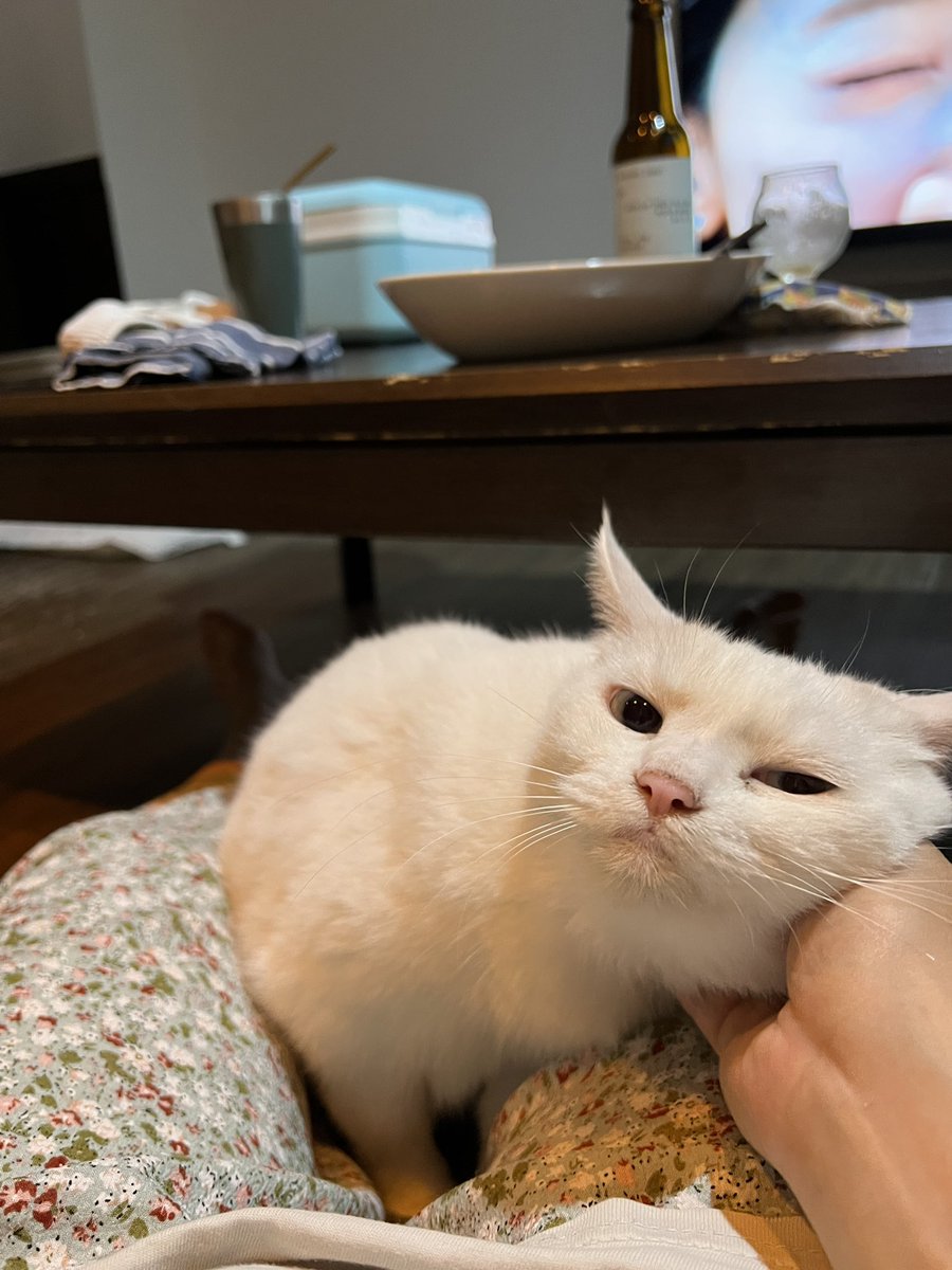 퇴근햇으면 
나를 만죠야지 

                    그으래