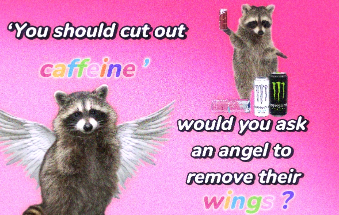 raccoon aesthetic. (@raccoonesthetic) on Twitter photo 