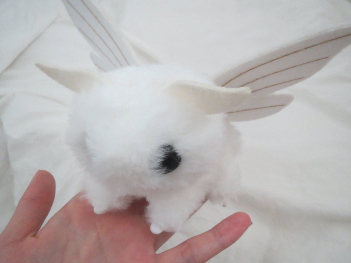 Rang.. (@luckygirliknow) on Twitter photo 