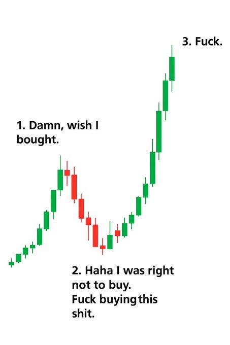 RoundtableSpace's tweet photo. DON'T BE THIS GUY, BUY THE FUCKING DIPS!! https://t.co/Wvh3mJR8eL