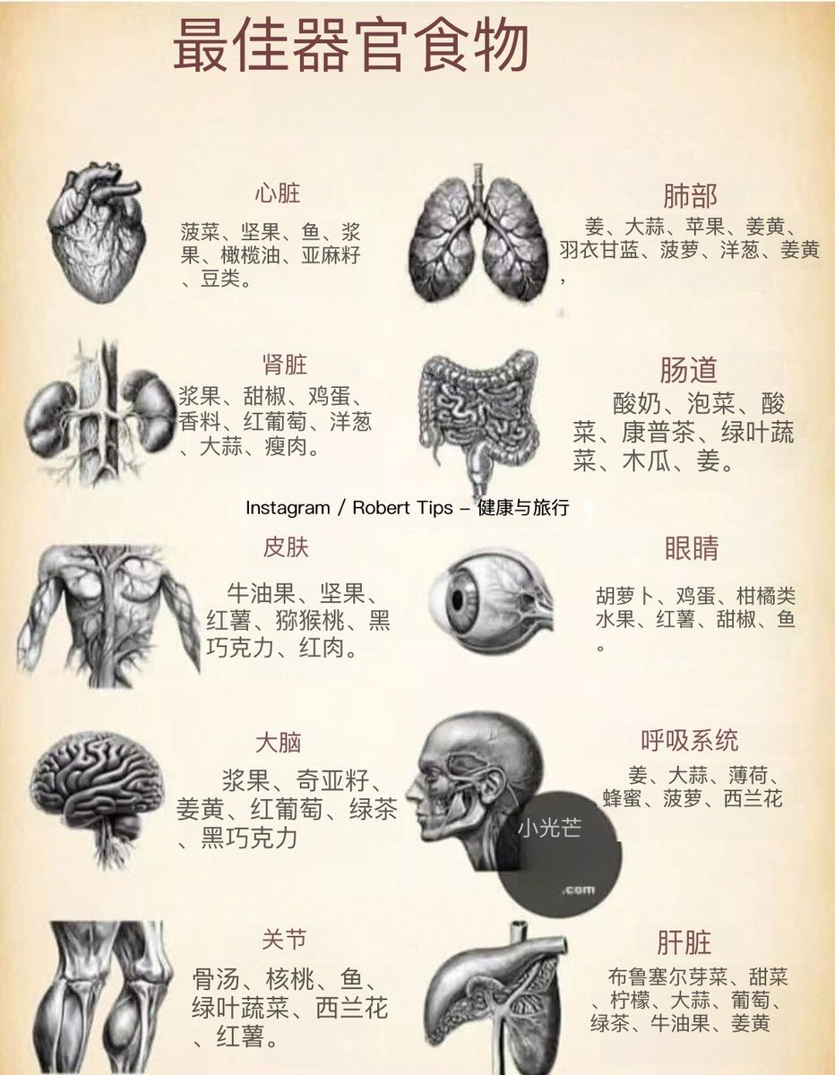 对器官最好的食物🫀🧠🫁