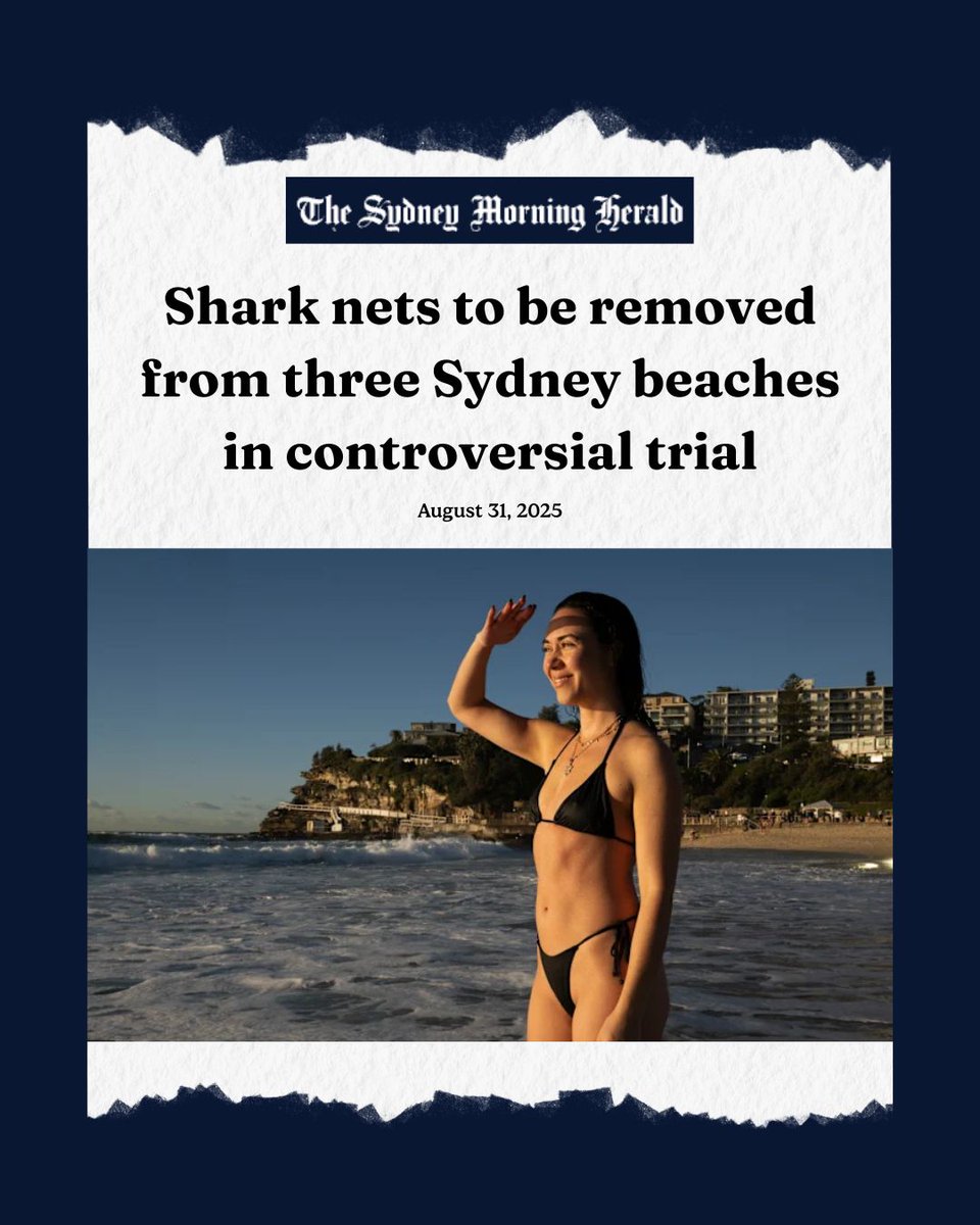 For 88 years, September 1st marks the first day in which all marine life in NSW waters face the 51 cruel and outdated shark culling nets.

We welcome the @nswgov move to remove 3 shark nets of 51.

If you haven't already, watch the @envoyfilm on Netflix.