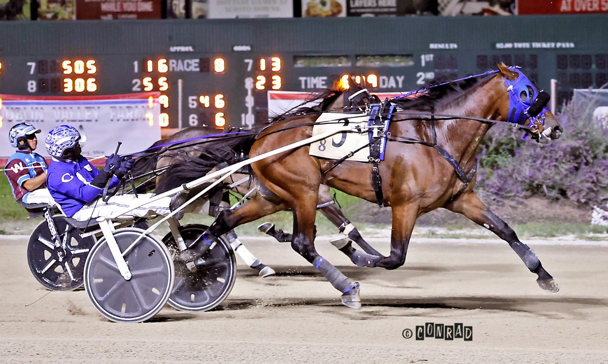 Bradley Conrad (@pacerfoto) on Twitter photo Big Ranger is now 5 for 5 in his young career, winning his division of Ohio Sires Stakes tonight <a href="/SciotoRacing/">Scioto Downs Racing</a>.  The 2 year old colt trotter is trained and driven by Ronnie Gillespie.  The mile was trotted in 1:54.2   <a href="/That1BarryGuy/">Barry Vicroy</a> <a href="/JennaBAOtten/">Jenna</a> Big Ranger is now 5 for 5 in his young career, winning his division of Ohio Sires Stakes tonight <a href="/SciotoRacing/">Scioto Downs Racing</a>.  The 2 year old colt trotter is trained and driven by Ronnie Gillespie.  The mile was trotted in 1:54.2   <a href="/That1BarryGuy/">Barry Vicroy</a> <a href="/JennaBAOtten/">Jenna</a>