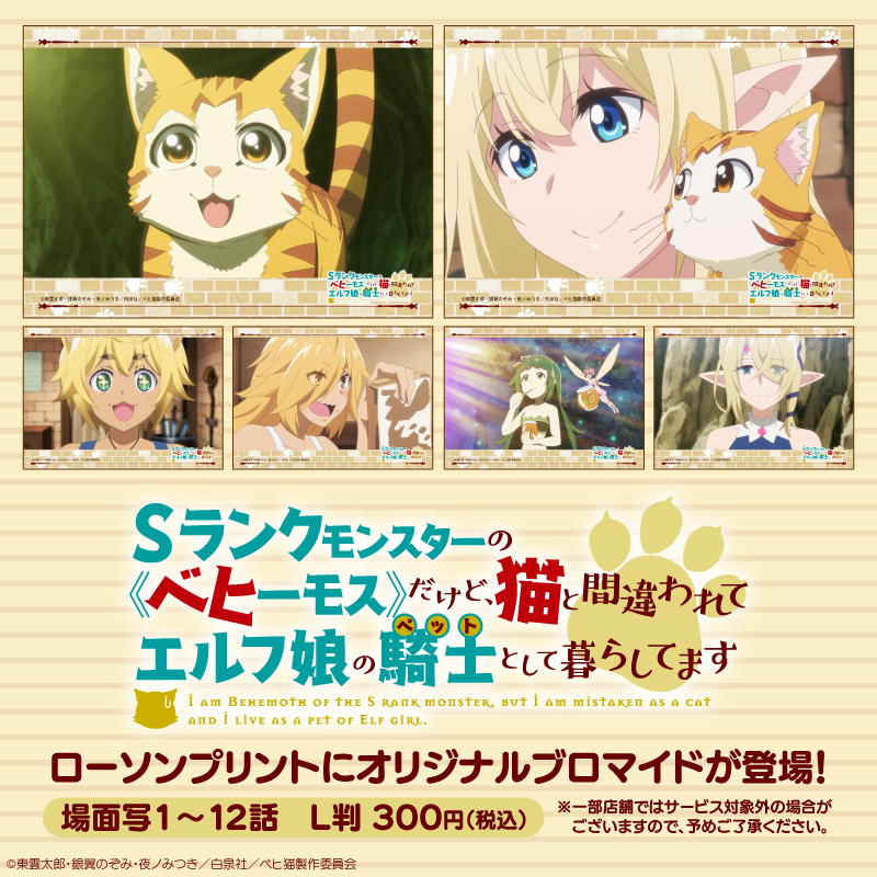 Sランクモンスターのベヒーモスだけど猫と間違われてエルフ娘の騎士として DVD Sランクモンスターの《ベヒーモス》だけど、猫と間違われて