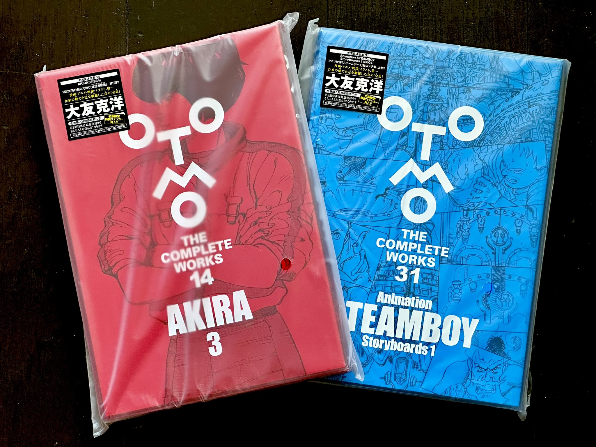 大友克洋全集 全巻購入特典応募券 全期全巻完全コンプリート応募券 11枚セット 大友克洋全集 第一期全巻購入特典 特製「全集」Tシャツ 応募券