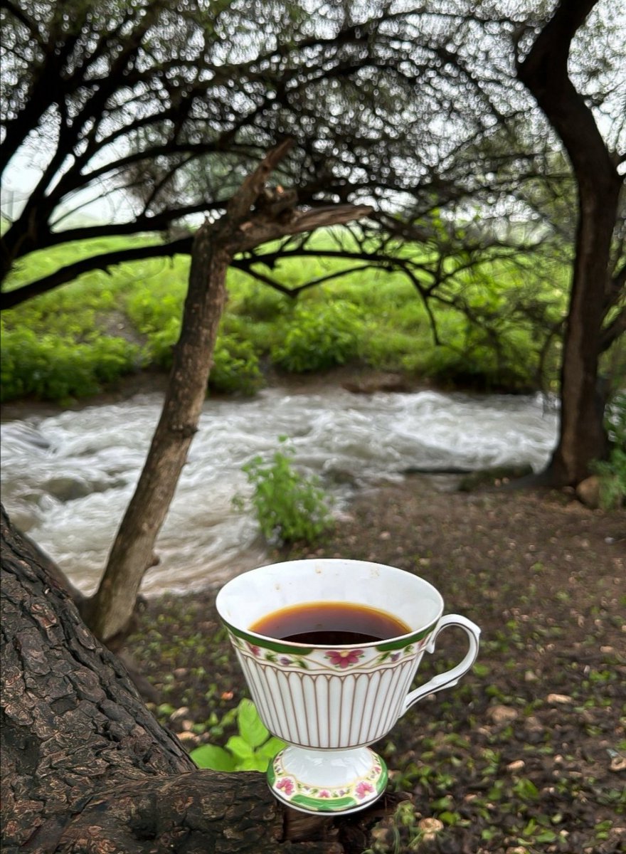 اللهم صباحًا...
يحمل لقلوبنا نورا يضيء أرواحنا... ويحمل لحياتنا السلام.. ولأجسادنا عفوك وعافيتك.. 🤍
صــــباح الخيــــــــــر 🌾🌾