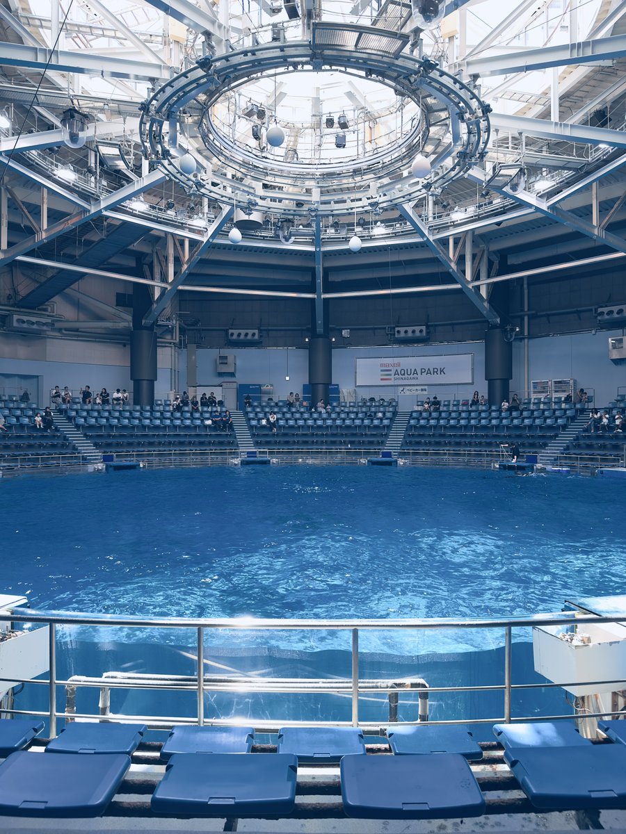 今日のアクパ！！
陽光がホントに綺麗…☺️