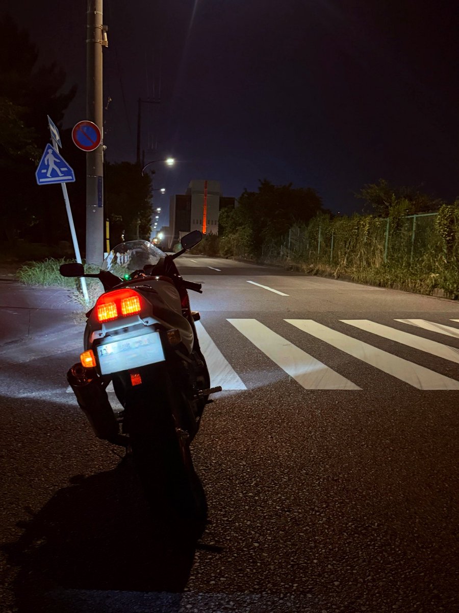 またここにいる😅