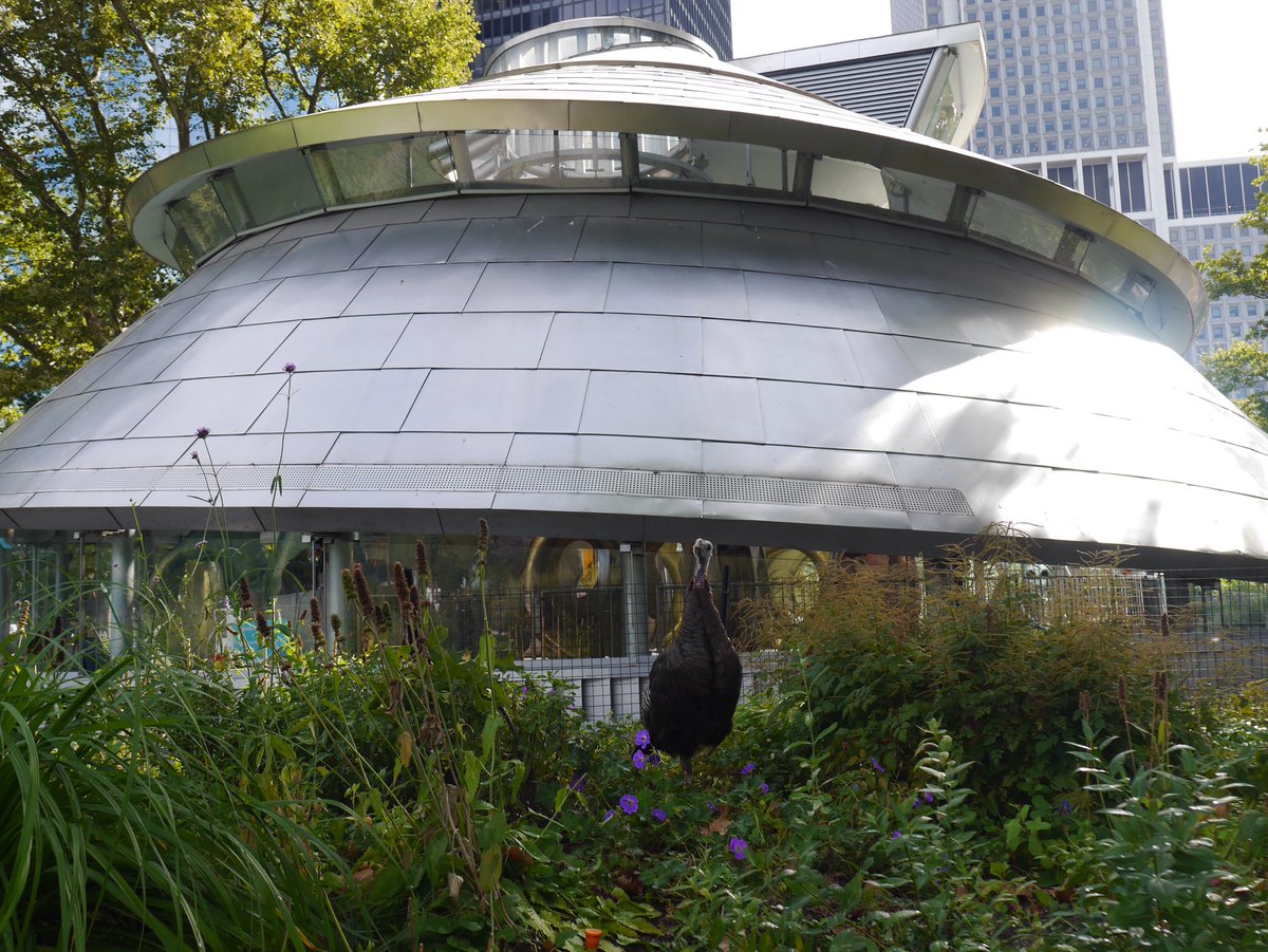 E.T. emerges from spaceship

#birdcpp