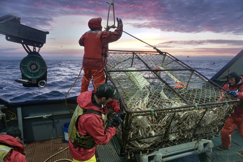 Is this a game of opposites?

If you like dry land, this is the job to have. Such relaxation.