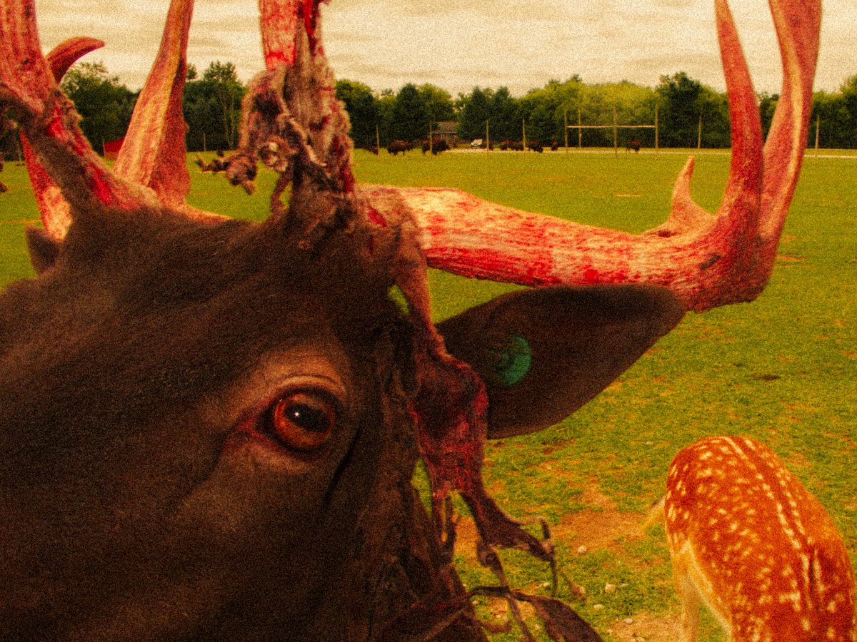 levi 😸 (@twashstarcrazy) on Twitter photo 