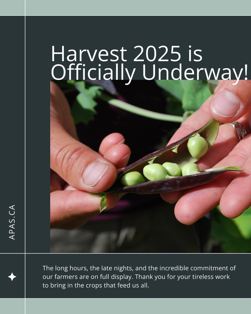 From dawn to dusk, the work of harvest is a true testament to the dedication of our agricultural community. 

This season, we salute every producer for their incredible effort to bring in a successful crop. Your hard work fuels our province and beyond. 🚜🌾

#Harvest2025 #SaskAg